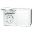 ABB Busch-Jaeger opbouw wandcontactdoos 2v ip 44 (20/2 EBW-54)