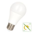 Bailey LED lamp peer E27 9W 820lm warm wit 2700K (145743)