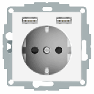 Schneider Electric Merten wandcontactdoos systeem dubbele USB-poort 2.4A 16A (MTN2366-0319)