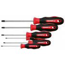 GEDORE RED 2-comp schroevendraaierset Torx T10-40 6-delig (R38402006)