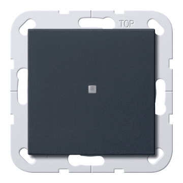 Gira tast-controleschakelaar met rechte wip - systeem 55 zwart mat (0124005)
