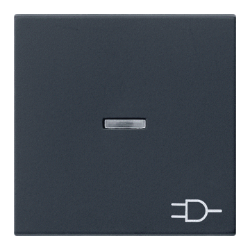 Gira wip met controlevenster en stekker symbool - systeem 55 zwart mat (0209005)