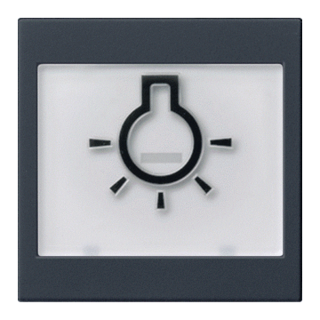 Gira wip met tekstkader + lichtsymbool - systeem 55 zwart mat (0216005)