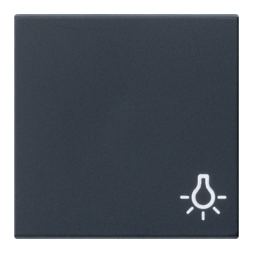 Gira schakelwip symbool licht - systeem 55 zwart mat (0285005)