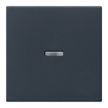 Gira schakelwip controlevenster - systeem 55 zwart mat (0290005)