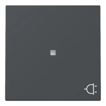 Gira schakelwip controlevenster symbool stopcontact - systeem 55 antraciet (329128)