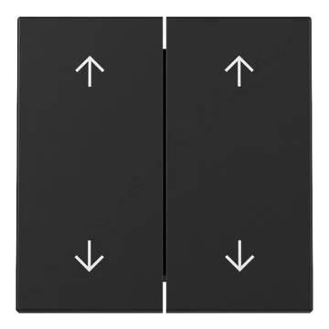 Gira schakelwip 2-voudig met pijlsymbolen - systeem 55 zwart mat (3297005)